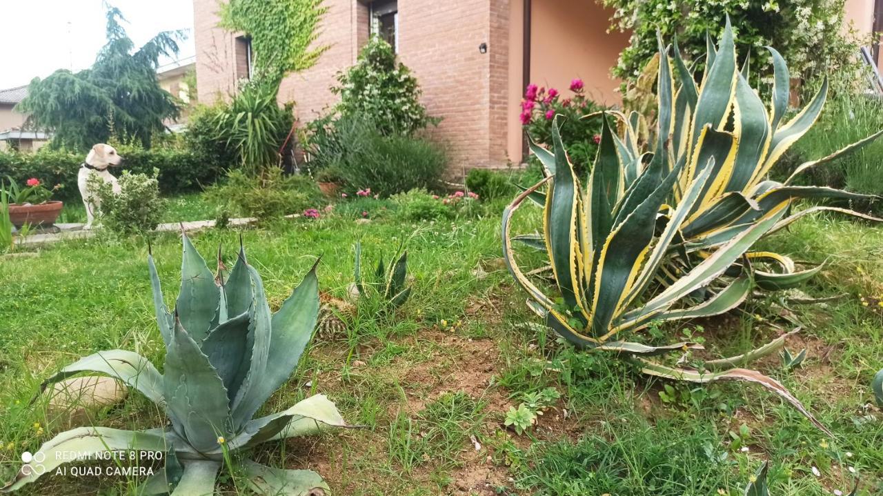 Casa Vincenzo 130 Mq Con Portico Ed Ingresso Esclusivo Dal Giardino Villa Felino Ngoại thất bức ảnh