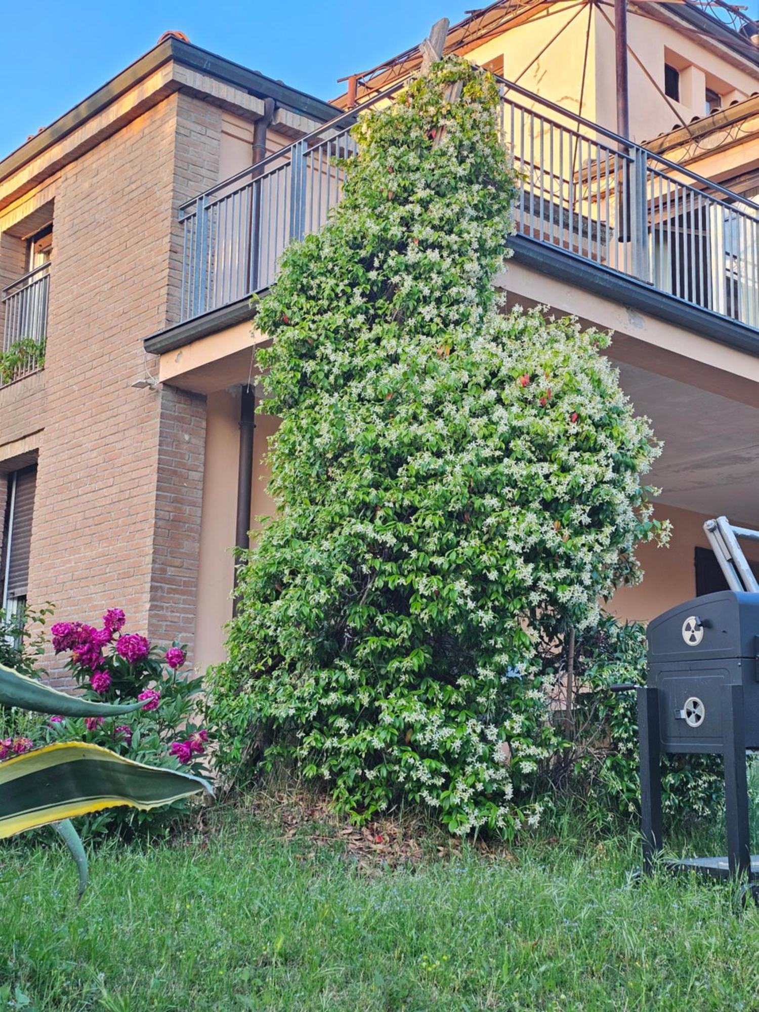 Casa Vincenzo 130 Mq Con Portico Ed Ingresso Esclusivo Dal Giardino Villa Felino Ngoại thất bức ảnh