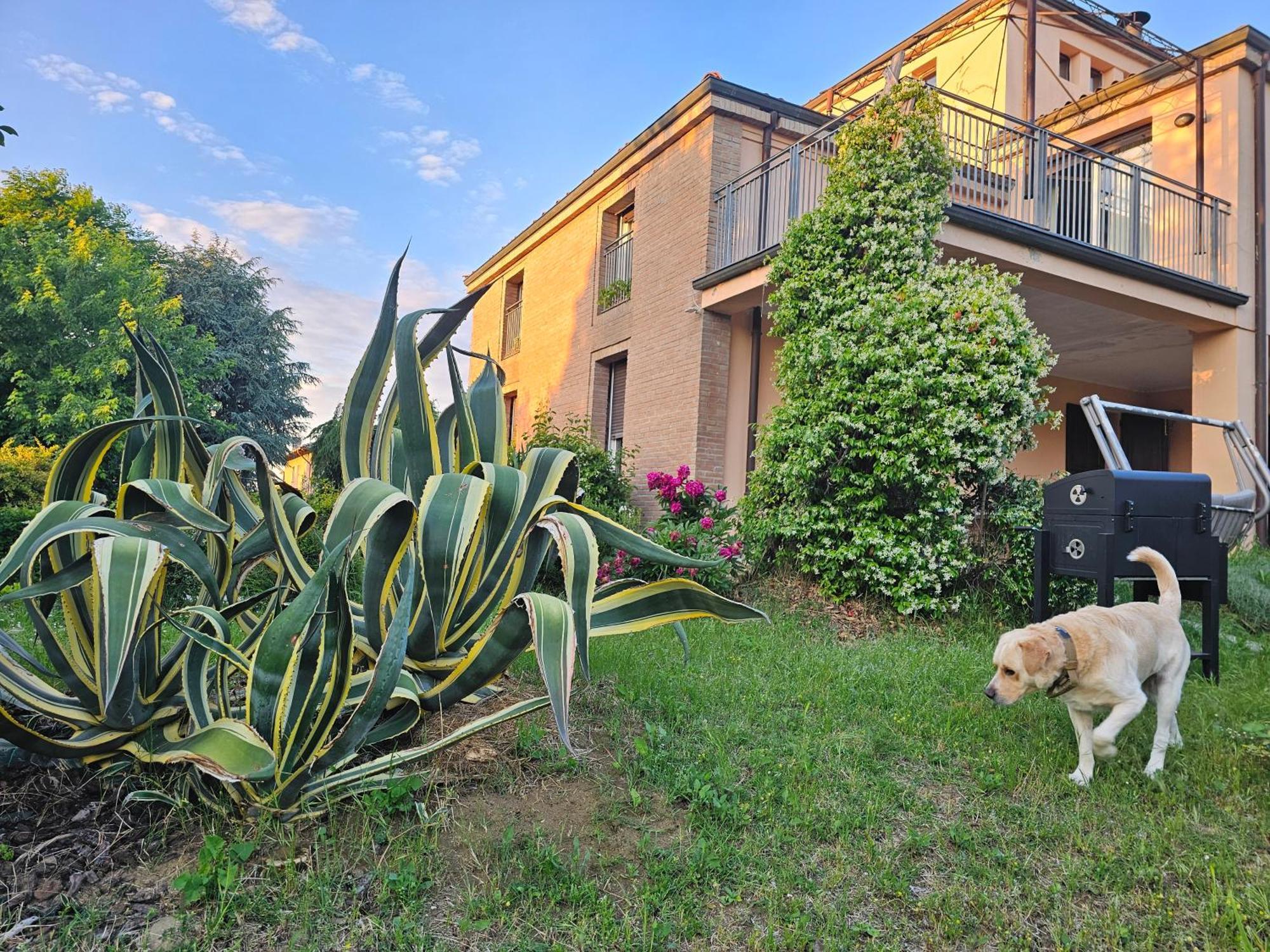 Casa Vincenzo 130 Mq Con Portico Ed Ingresso Esclusivo Dal Giardino Villa Felino Ngoại thất bức ảnh