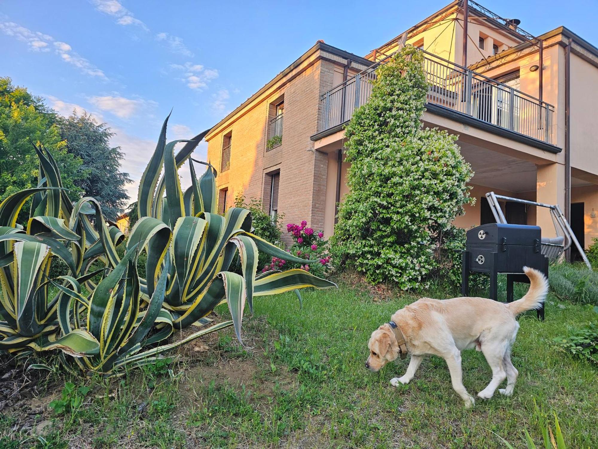 Casa Vincenzo 130 Mq Con Portico Ed Ingresso Esclusivo Dal Giardino Villa Felino Ngoại thất bức ảnh